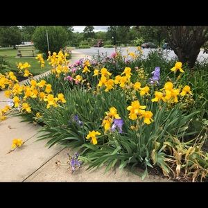 Meet your Posher, Joni